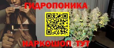 a pvp Будённовск