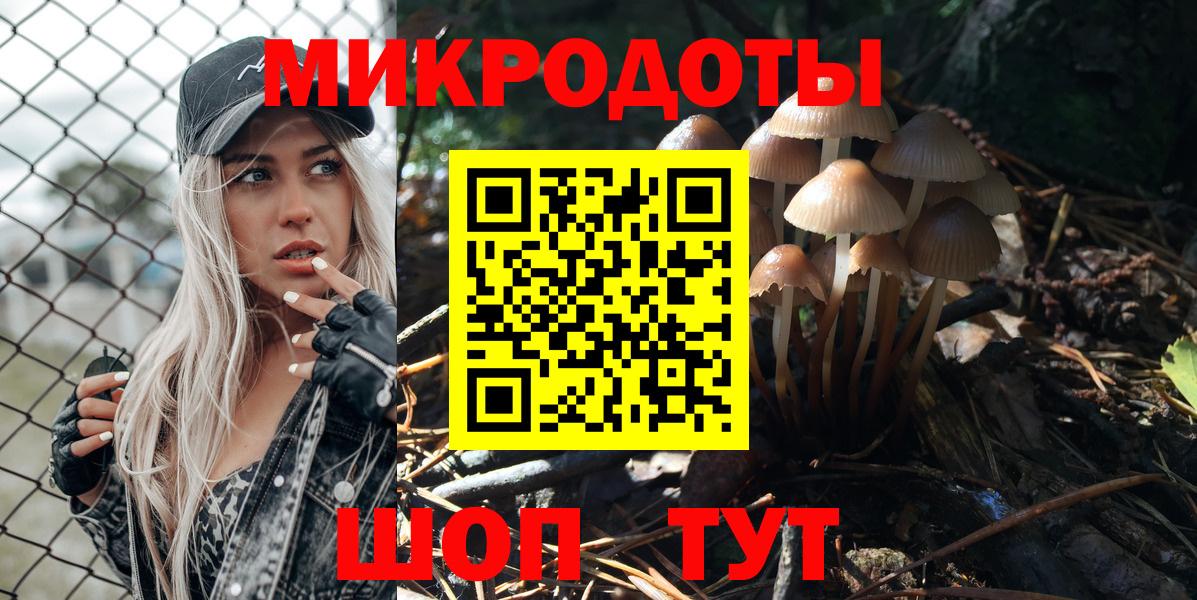 Котовск  Псилоцибиновые грибы Magic Shrooms  Вход с VPN 
